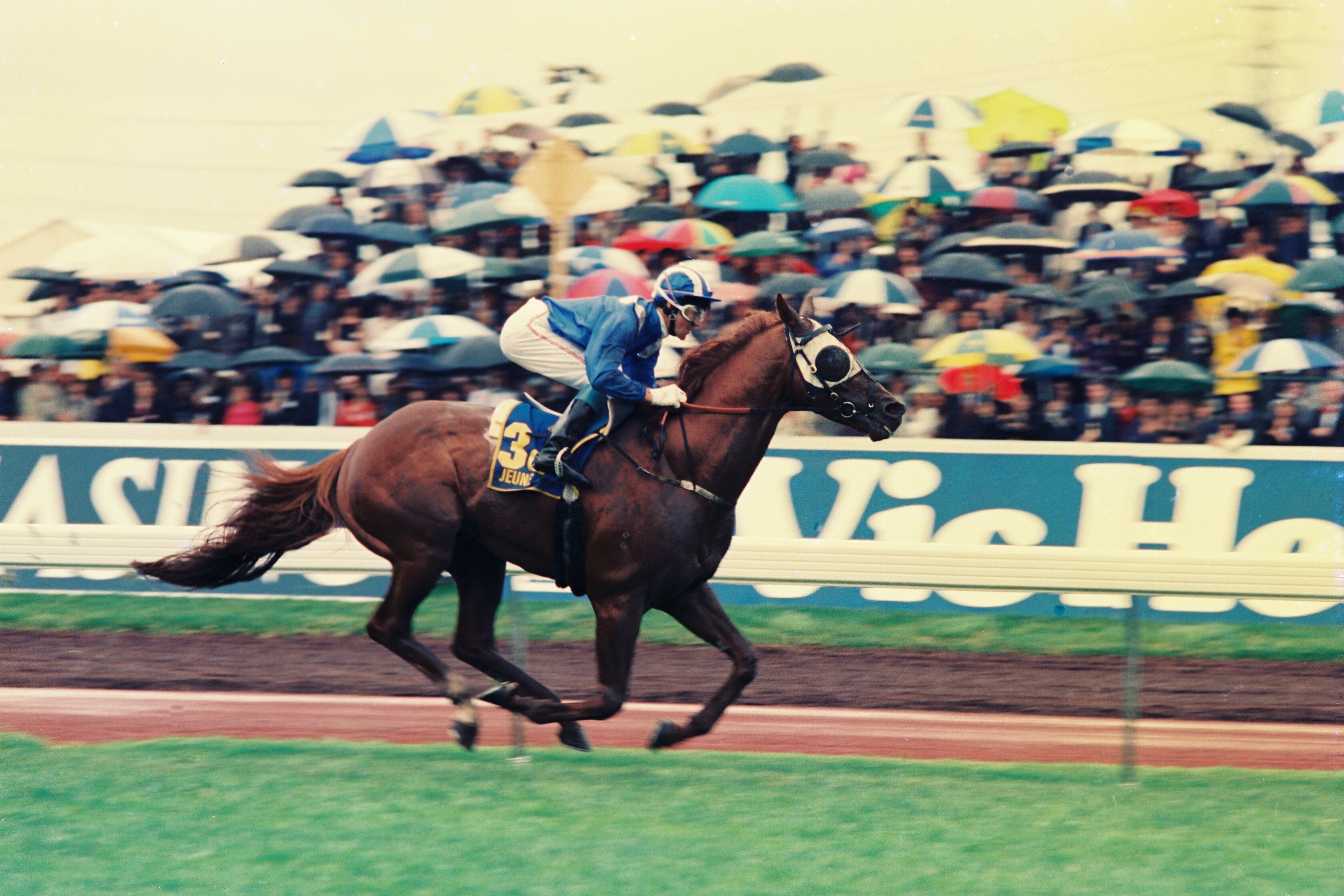 Melbourne Cup winner Wayne Harris reflects on his place in racing