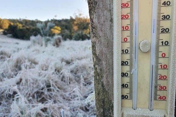 Cold thermometer  showing -6C on fence post and frost in paddock showing -6C.