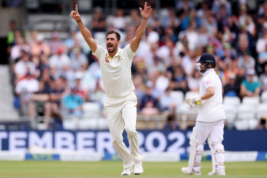 Mitchell Starc holds his arms up in appeal as Ben Duckett stands behind him