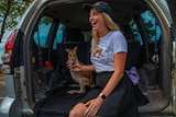 Woman with wallaby in back of car.