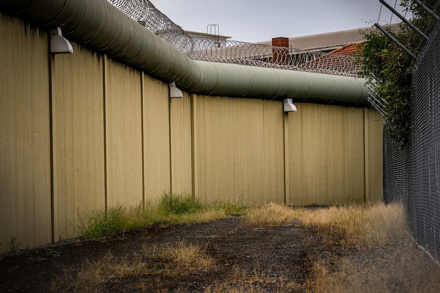 Shot of a prison wall with wire coils atop from the inside.