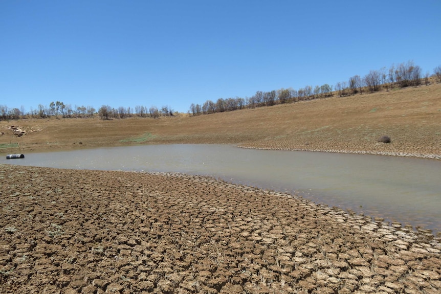 The Ilfracombe town dam in February.