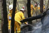 A total fire ban is in place for Sydney and surrounding areas today.