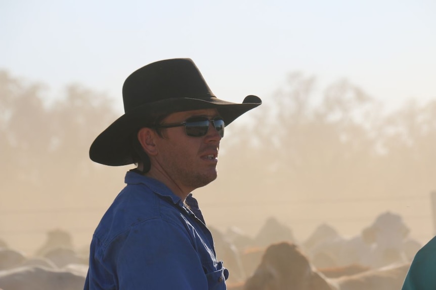 Station manager Dave Young overseeing a mob of cattle being loaded onto a truck for live export.