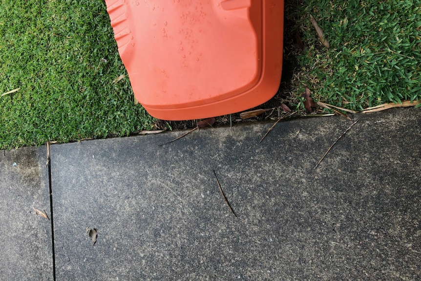 The base of a plastic basketball hoop sits on lawn next to a footpath.