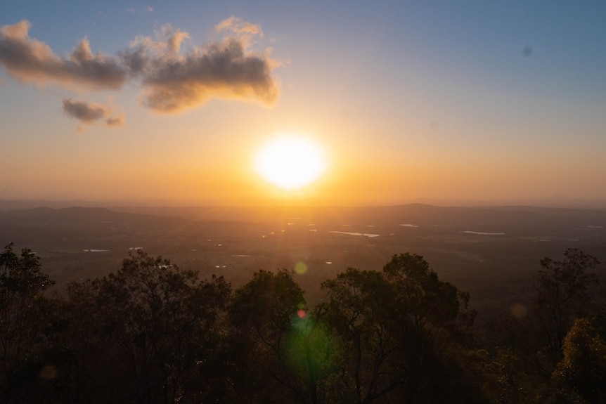 the sun loom large as it sets over a township. there are gum trees in the foreground and small clouds in the sky.