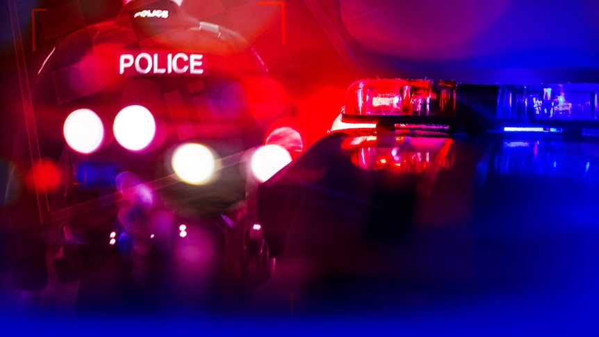 An artistic image showing the back of a police officer and a police car.