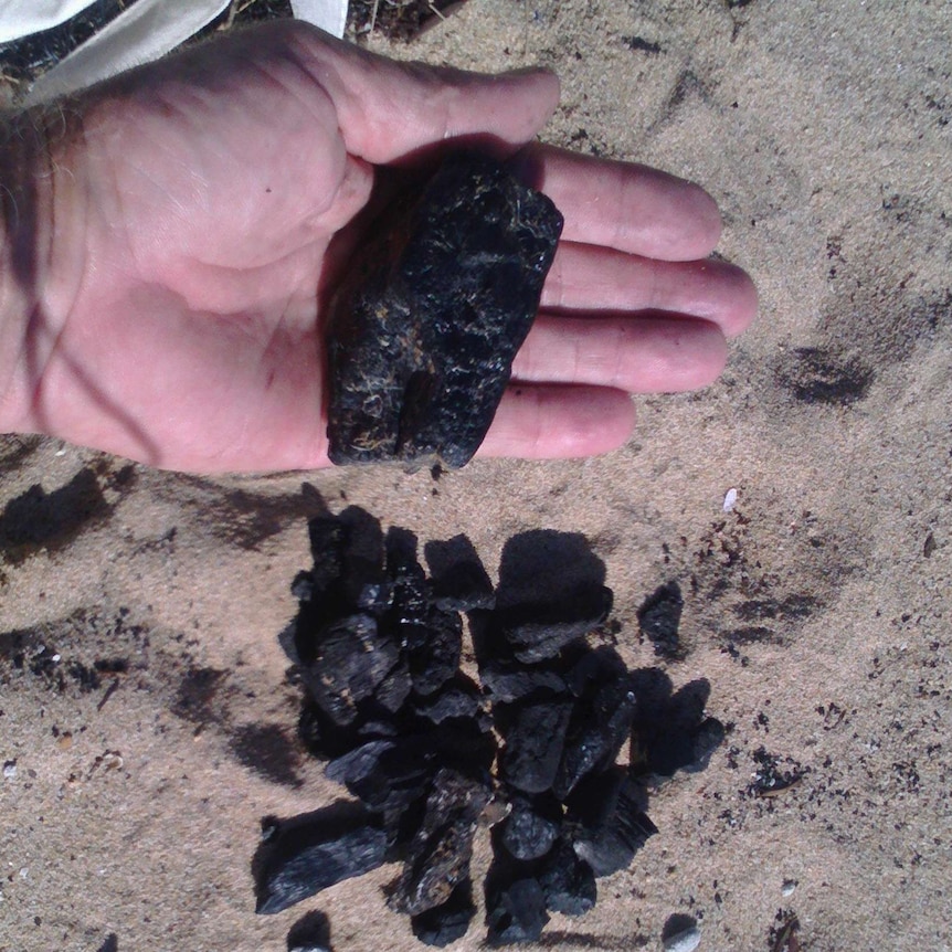 A person holds a piece of coal found washed up on a beach near Mackay.