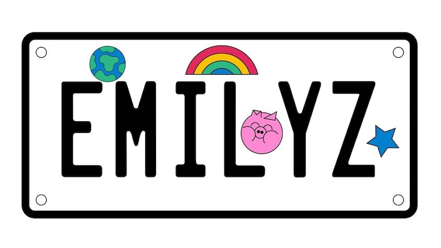 Emilyz numberplate for story about how art has become about ourselves