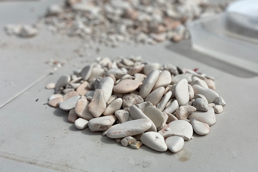 A pile of small rocks to be sifted through.