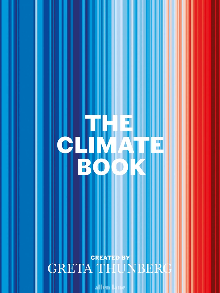 A book cover with lines of blue and red on the front. 