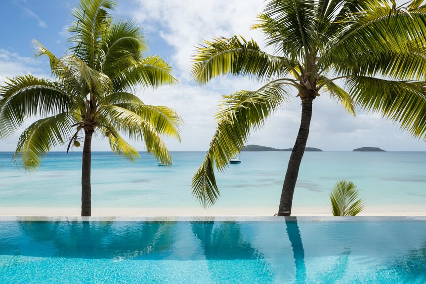 A beachside pool with palm trees in Fiji. 