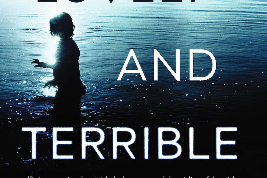 Chris Womersley A lovely and terrible thing cover