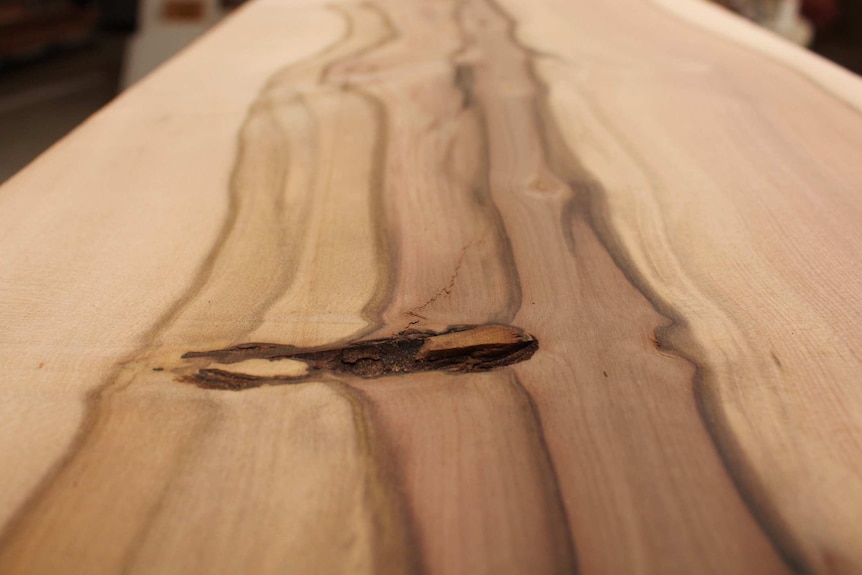 Tasmanian Black Heart Sassafras in a timber workshop.