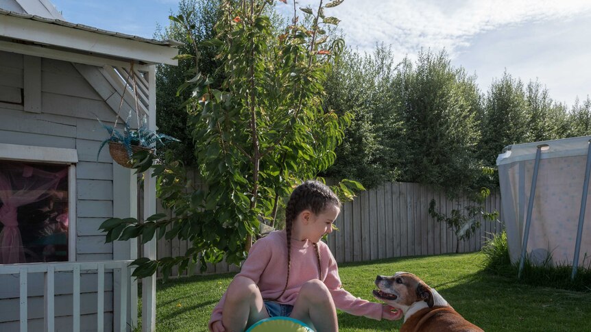 A little girl in a pink sweater plays with a dog in her backyard