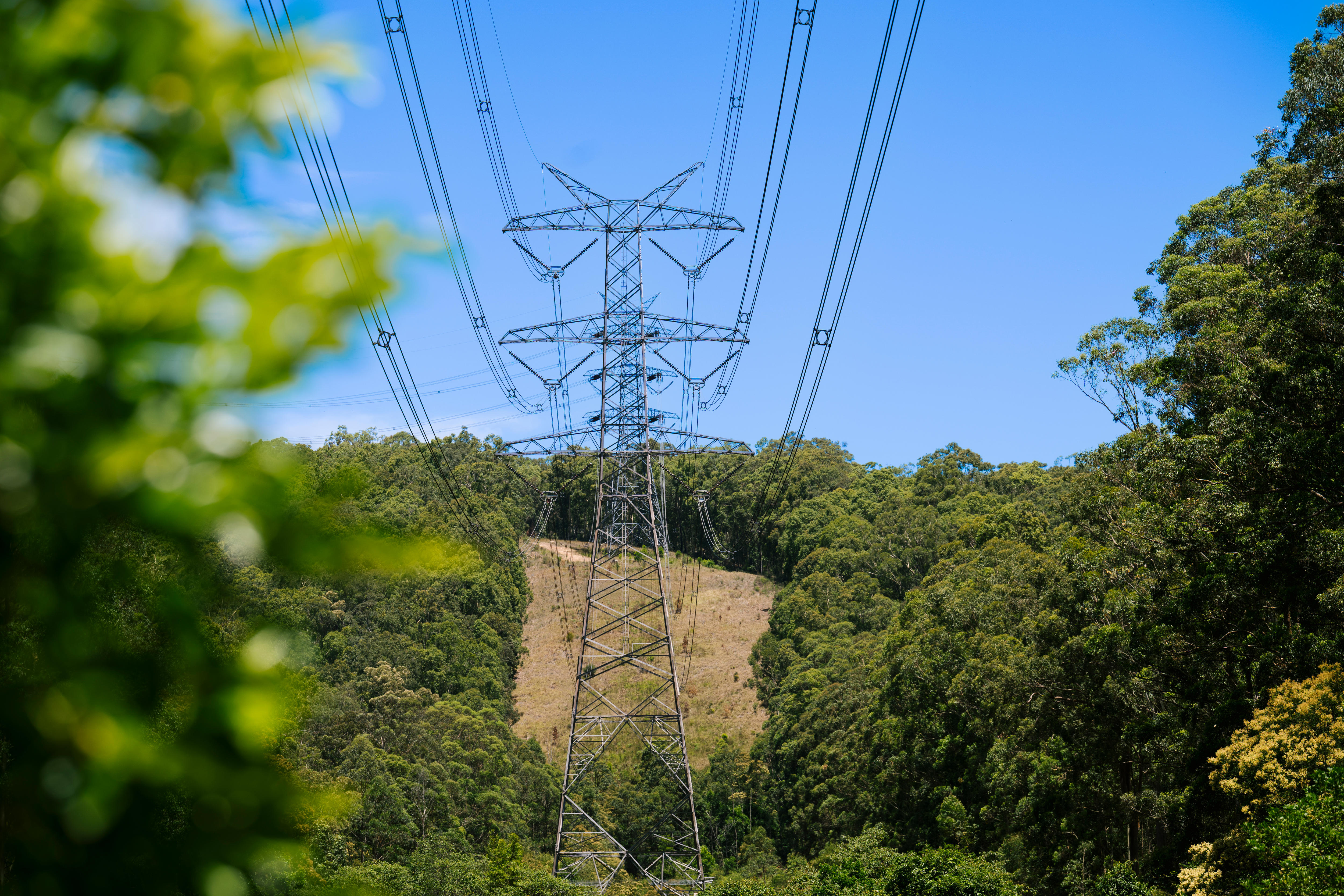 Hunter transmission line approved after rerouting around homes, frogs