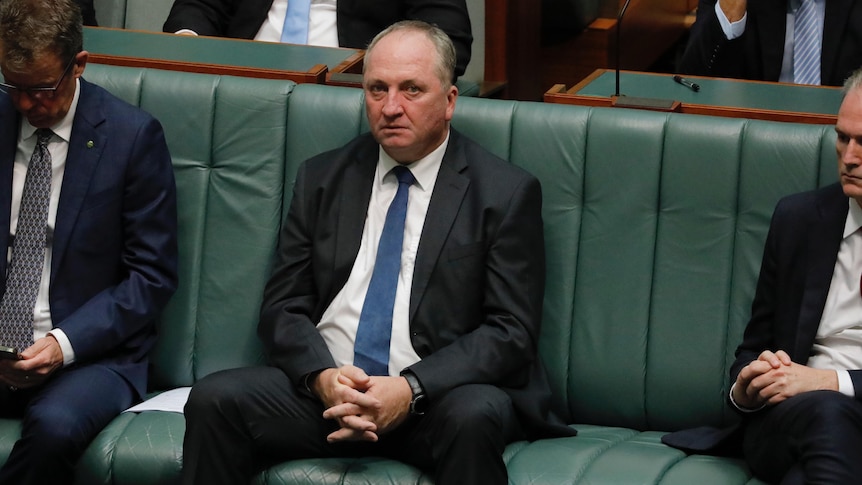 David Littleproud exhorte Barnaby Joyce à prendre congé après s’être « embarrassé » dans une vidéo de fin de soirée