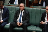 Barnaby Joyce sitting in Question Time with his hands clasped. 
