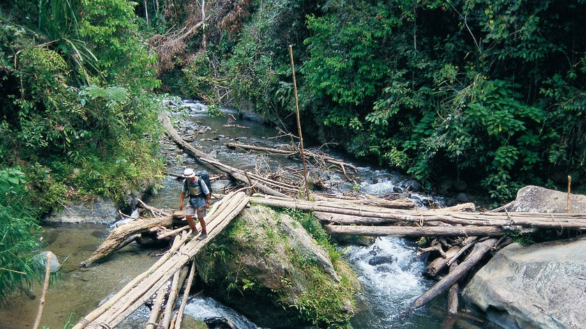 Trekkers walking the Kokoda Track (generic)