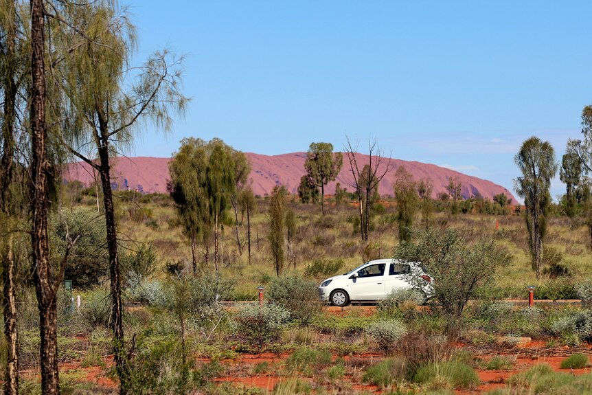 A white hatchback car drives with scrub and red dirt in foreground and Uluru in background beneath blue sky