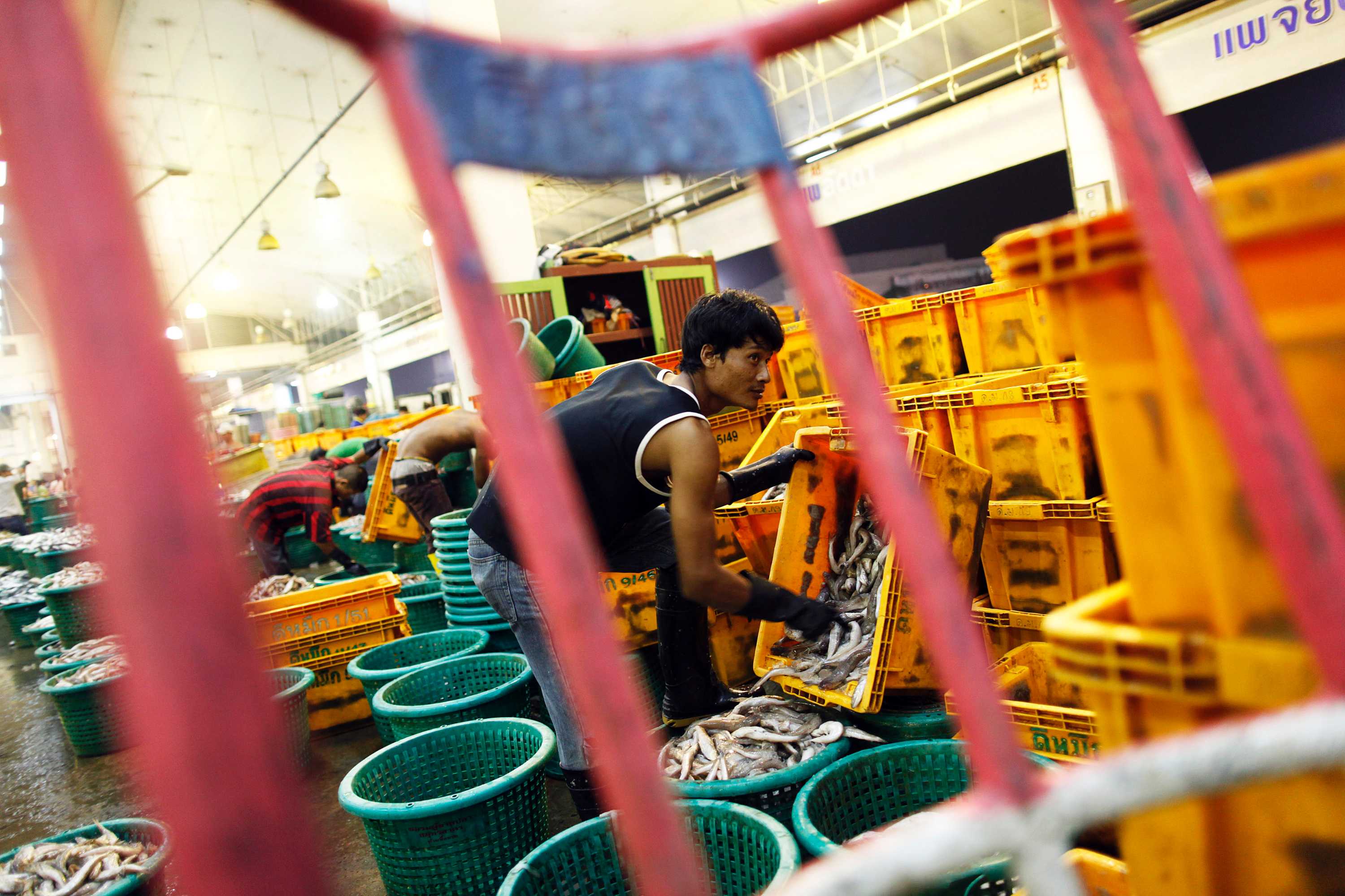 Migrant Workers Flee Thailand In Tens Of Thousands Over New Labour Laws ...