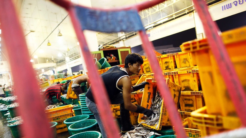 A migrant worker scoops fish into a bucket at a seafood market near Bangkok.