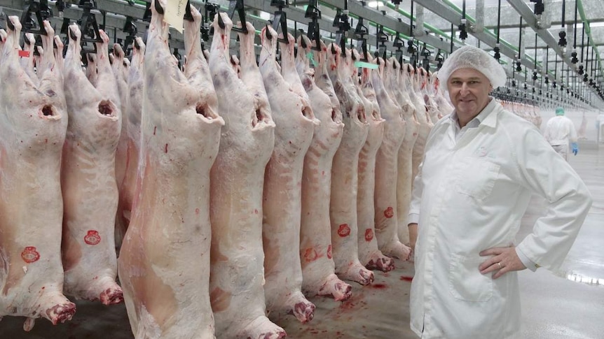 Man standing beside lamb carcasses.