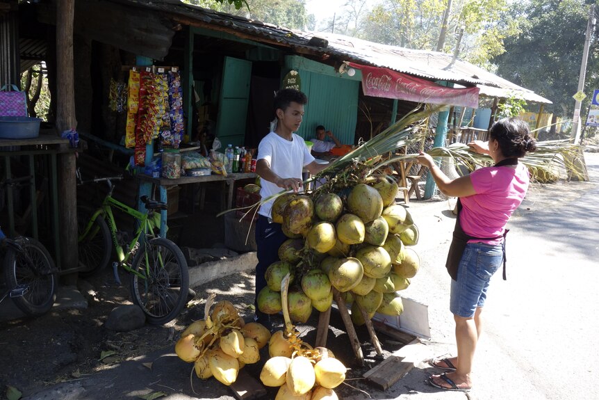 A man sells a cart full of coconuts to a woman