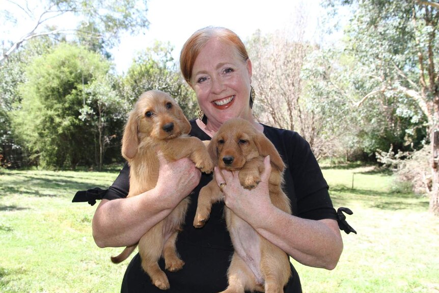 A woman holds two puppies