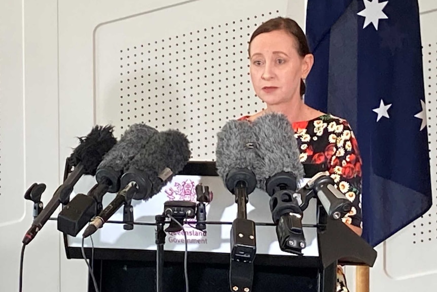 Yvette D'Ath speaks at a podium at a press conference.