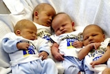 Newborn babies at John James hospital wear I just made the census count T-shirts