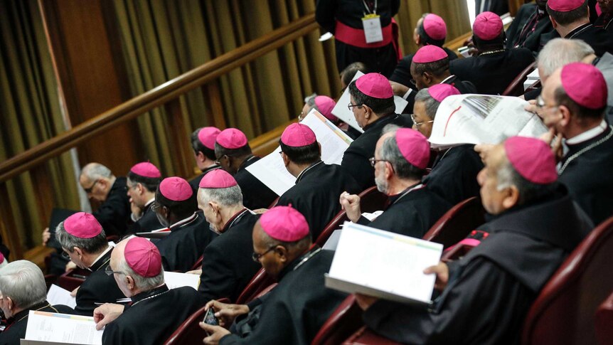 Bishops attending the Vatican's conference dealing with sex abuse by priests