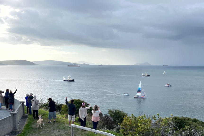 View from a cliff overlooking the harbor with sail boats and tug boats in the water and people on the hillside waving