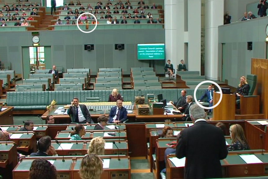 A group of people sitting in the public galleries in Parliament House with one woman blurred