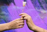 A woman's hand passing a flower to another woman with purple colour treatment in the background