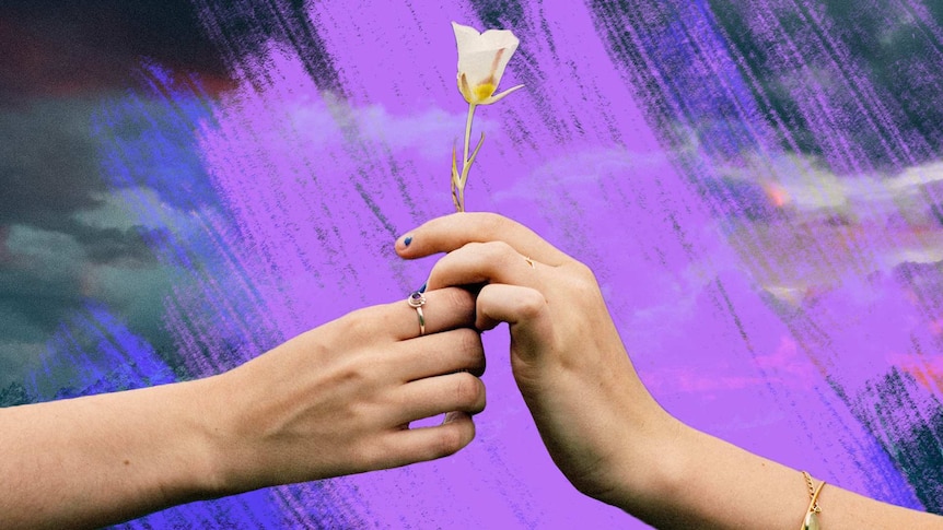 A woman's hand passing a flower to another woman with purple colour treatment in the background