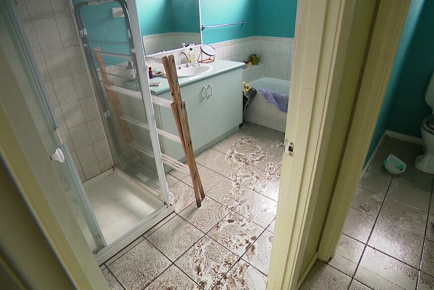 The floor of a bathroom and toilet and a toilet seat are covered in mud and dirt.