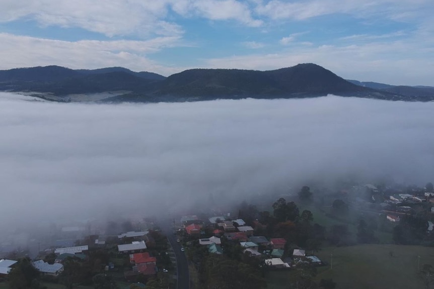 Fog sits on top of a suburb