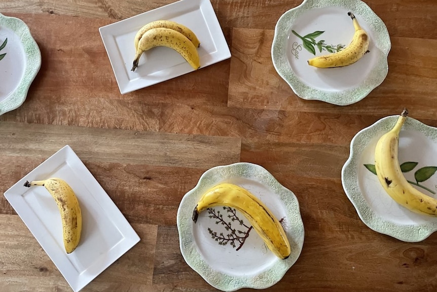 A table with bananas on various plates