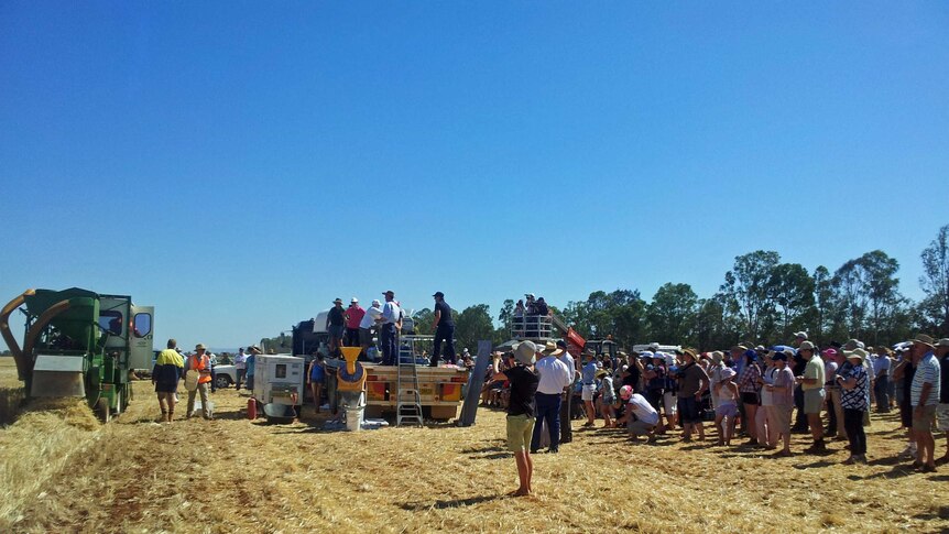 The world record attempt for baking bread in Parkes, NSW.