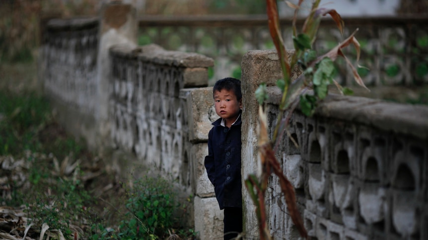 A young North Korean boy looks from behind a concrete wall around his house.