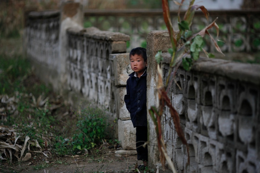 A young North Korean boy looks from behind a concrete wall around his house.