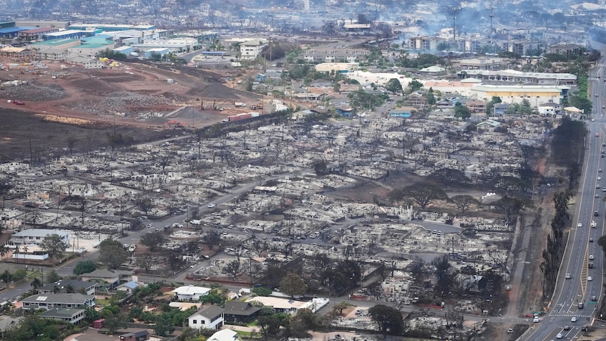 Blocks of razed buildings are seen from above.