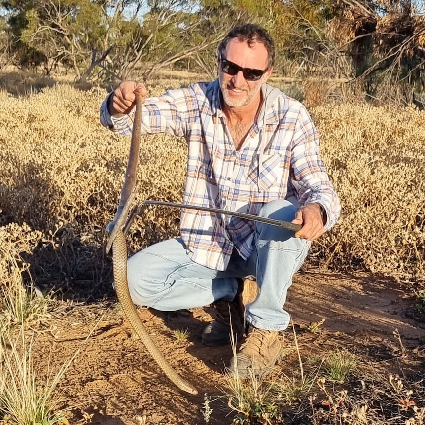 Man wearing sunglasses holds snake in the scrub