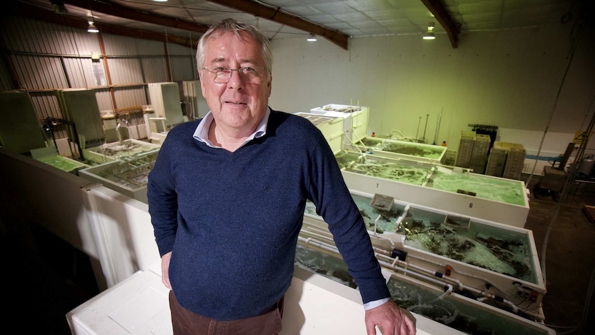 Seafood exporter Andrew Ferguson stands in a shed with seafood in tanks behind him.