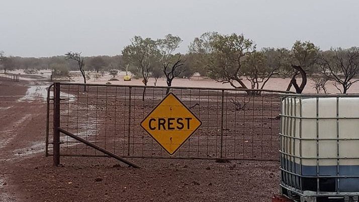 flooded pastoral station