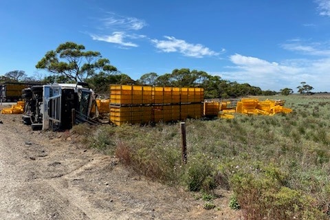 A truck on its side in a field on the side of the road, with multiple yellow crates laying in the grass