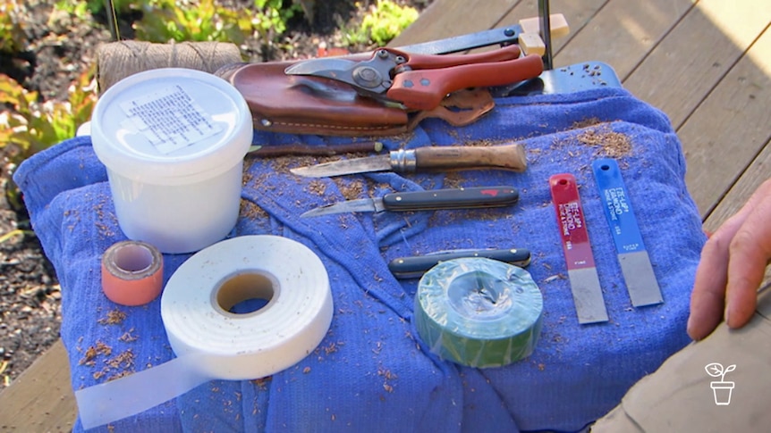 Selection of gardening tools spread out on cloth