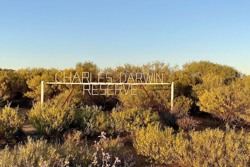  Charles Darwin Reserve sign in shrubs
