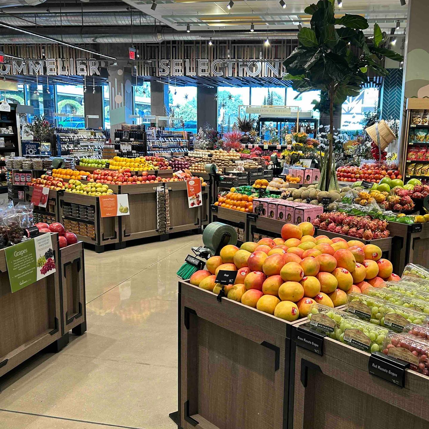 Australian R2E2 mangoes touch down in California selling for 14 each